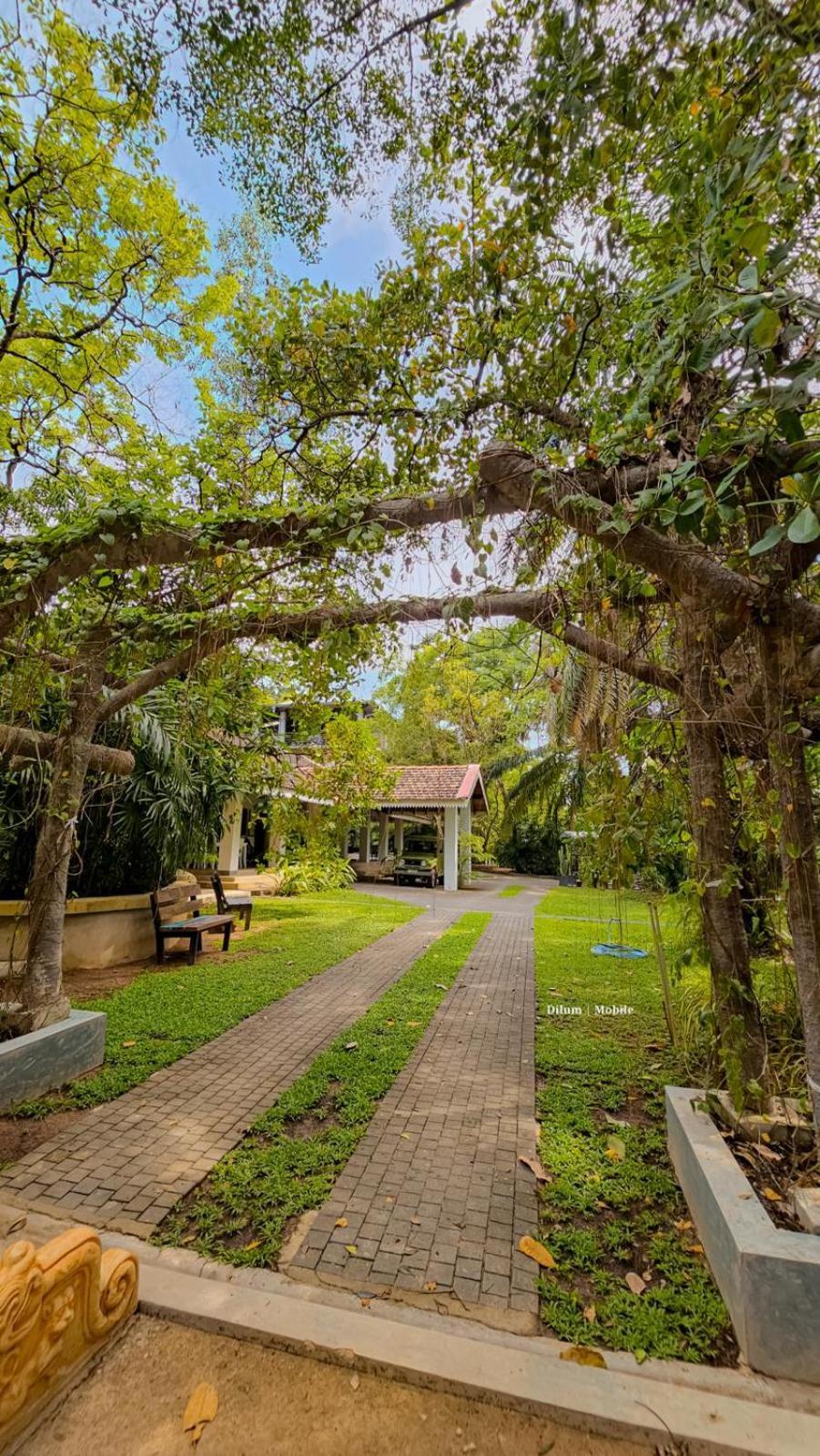 Ceylon Kingsmen Garden Hotel - Katunayake Negombo Extérieur photo
